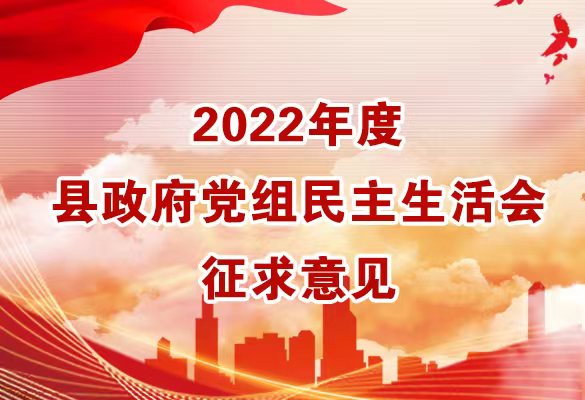 2022年度县政府党组民主生活会征求意见