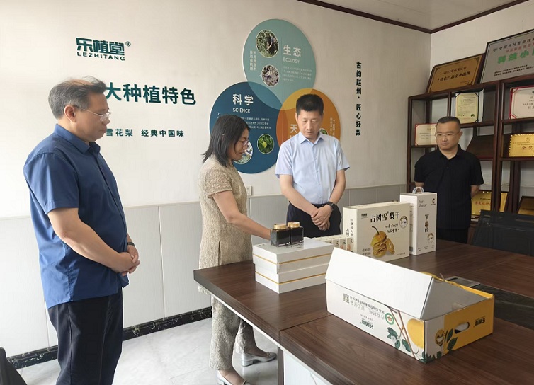 黄晓勇到谢庄镇调研