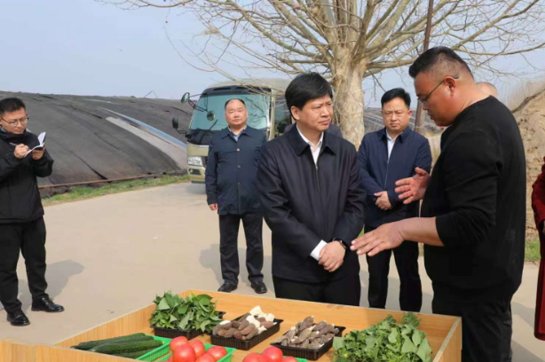 徐圣银调研我县农业产业发展及春耕生产工作